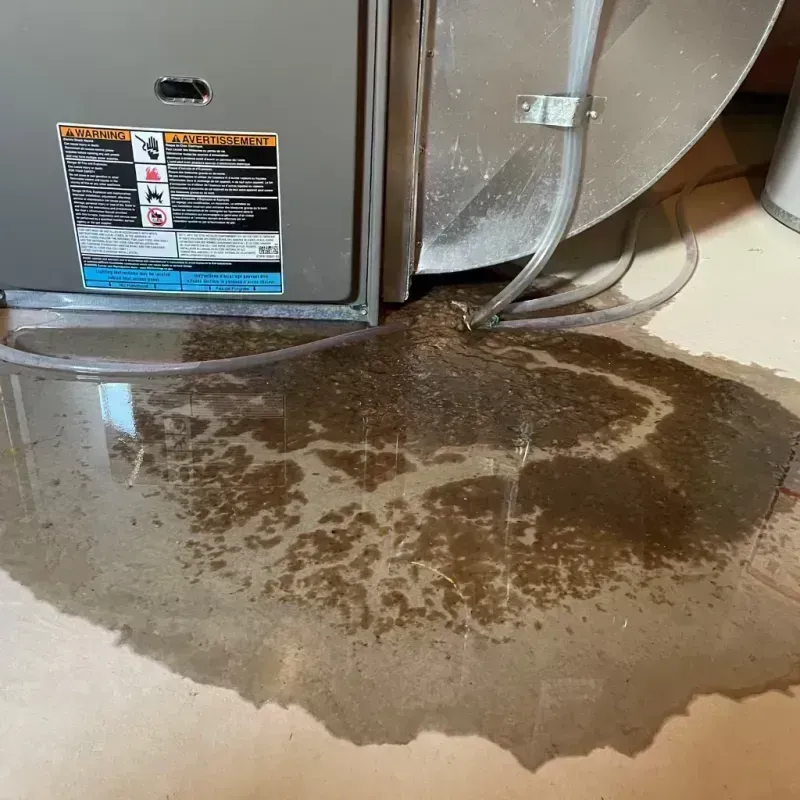 Appliance Leak Cleanup in Buffalo Grove, IL